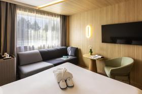 Novotel Nancy - photo 14