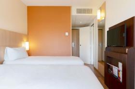 ibis Nancy Centre Gare et Congres - photo 19