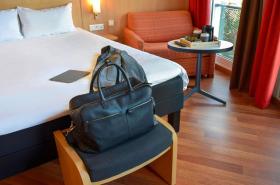 ibis Nancy Centre Gare et Congres - photo 9