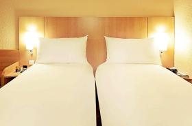 ibis Nancy Centre Gare et Congres - photo 26