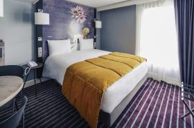 Mercure Nancy Centre Place Stanislas - photo 5